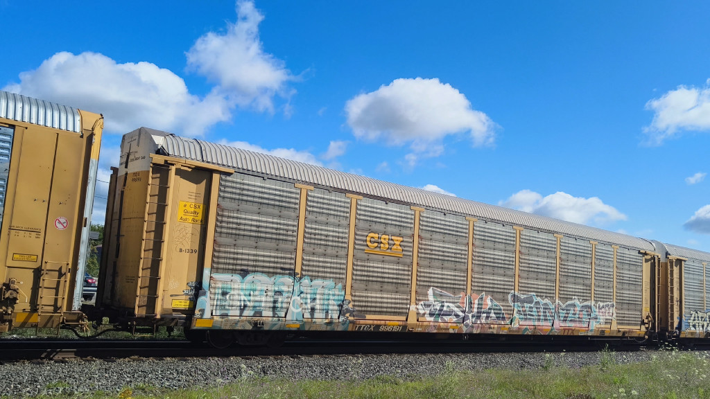 CSX B1339 (Body) TTGX 996191 (Flat)